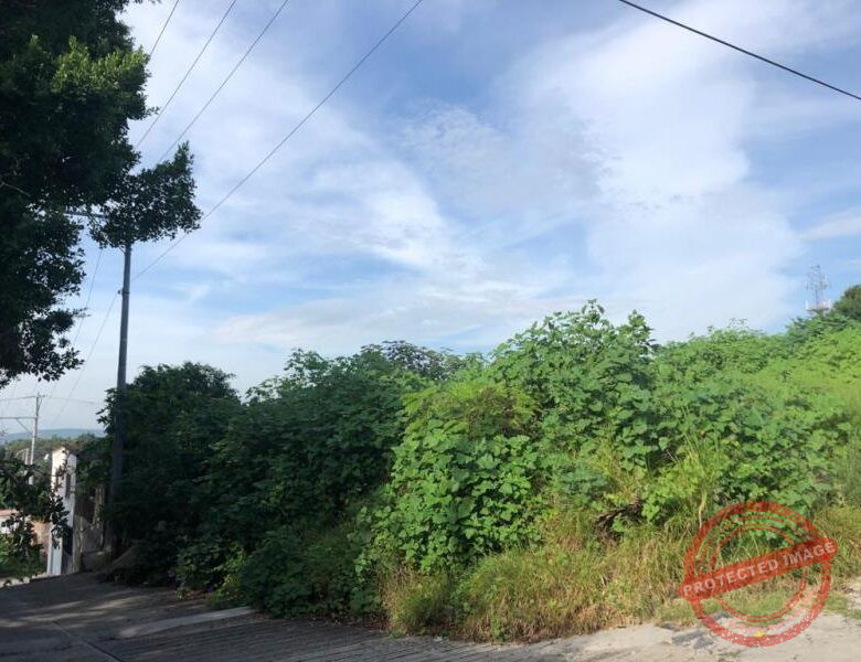 Terreno en Venta en Cocoyoc, Yautepec, Morelos