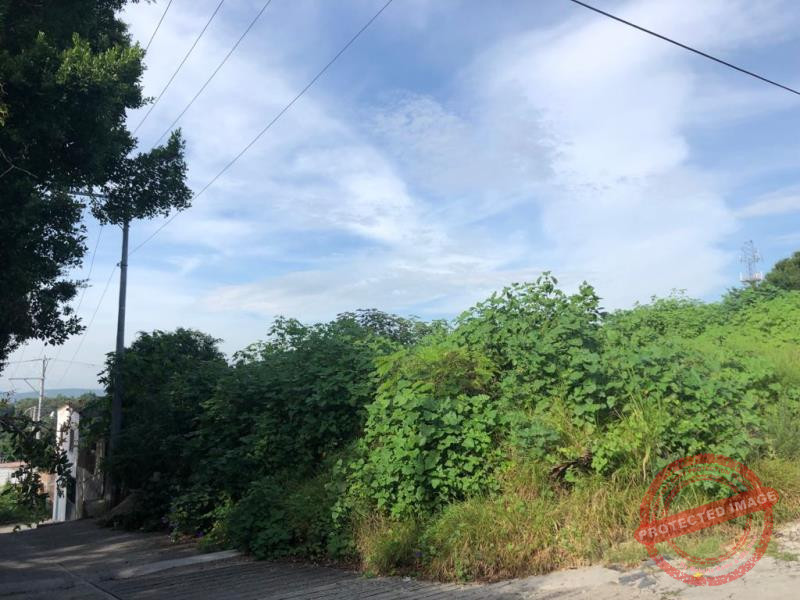 Terreno en Venta en Cocoyoc, Yautepec, Morelos