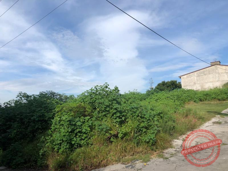 Terreno en Venta en Cocoyoc, Yautepec, Morelos