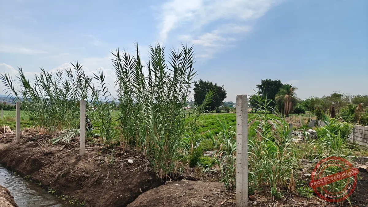 Terreno en Venta en Campo el Partidor, Yautepec, Morelos