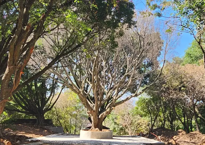 Terreno en Venta en Ahuatepec, Cuernavaca, Morelos