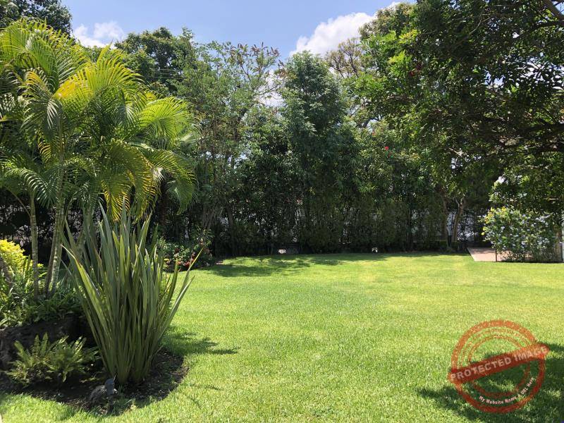 Casa en Renta en Centro Jiutepec, Jiutepec, Morelos