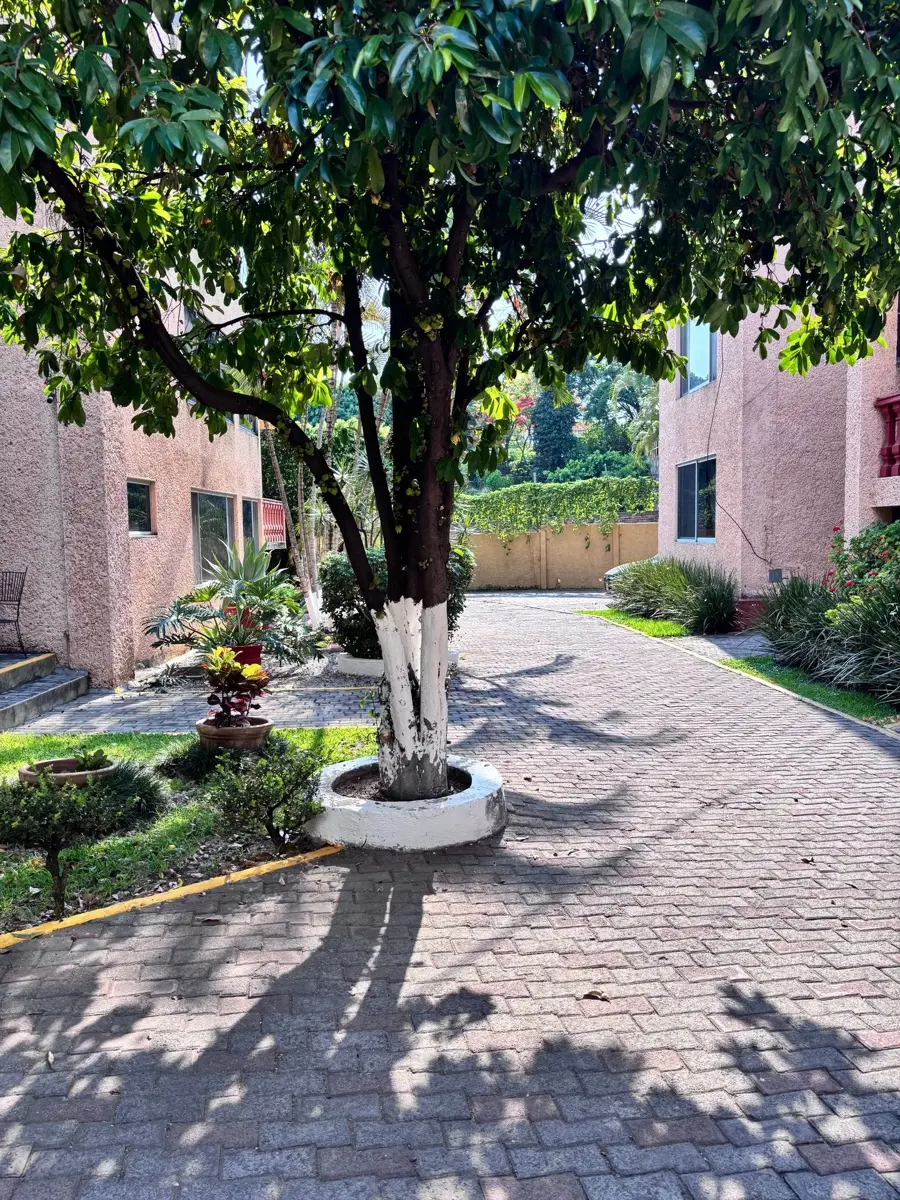 Departamento en Renta en Chapultepec, Cuernavaca, Morelos