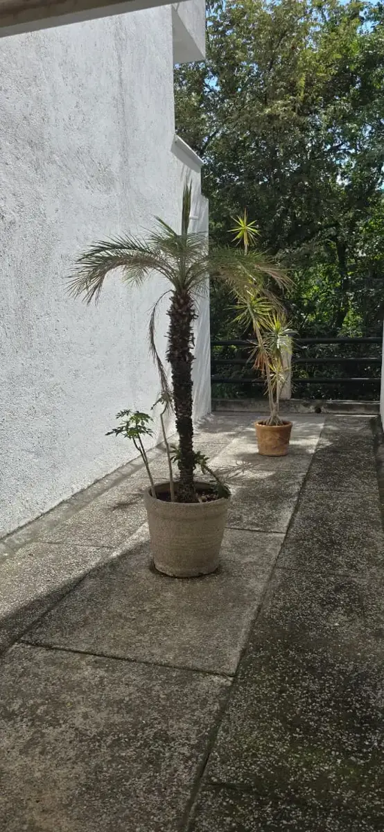 Departamento en Renta en Lazaro Cardenas, Cuernavaca, Morelos