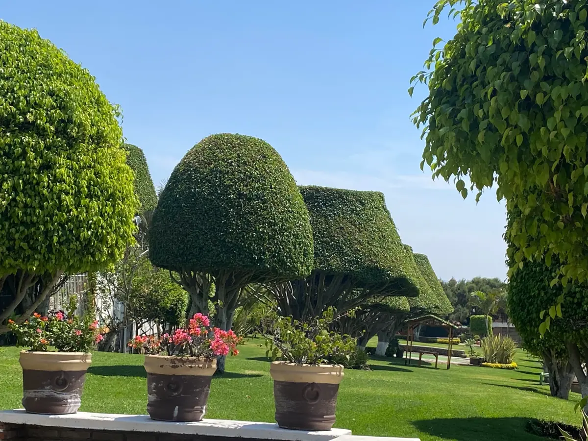 Casa en Venta en Lomas de Tzompantle, Cuernavaca, Morelos